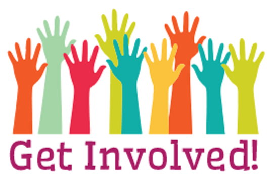 Expression of Interest for School Council Parent/Community Representative Member